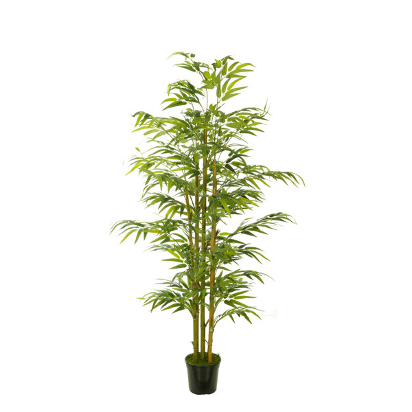 474726 FB ARBOL BAMBU EC 180CM C/M(306002)