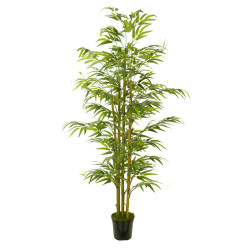 474734 FB ARBOL BAMBU EC 210CM C/M (306002)