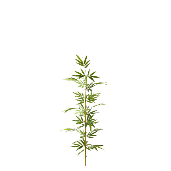 474651 FB CAÑA BAMBU NATURAL C/H 2,75R 120CM(30