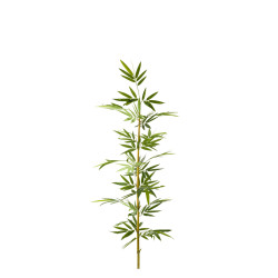 comprar 474669 FB CAÑA BAMBU NATURAL C/H 3,25R 150CM(30 online de  desde 53,11 €