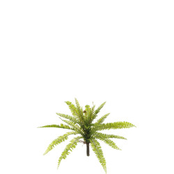 comprar 475097 MATA HELECHO GRANDE PLAST. 53CM online de desde 26,35 € comprar 475097 MATA HELECHO GRANDE PLAST. 53CM online de desde 26,35 €