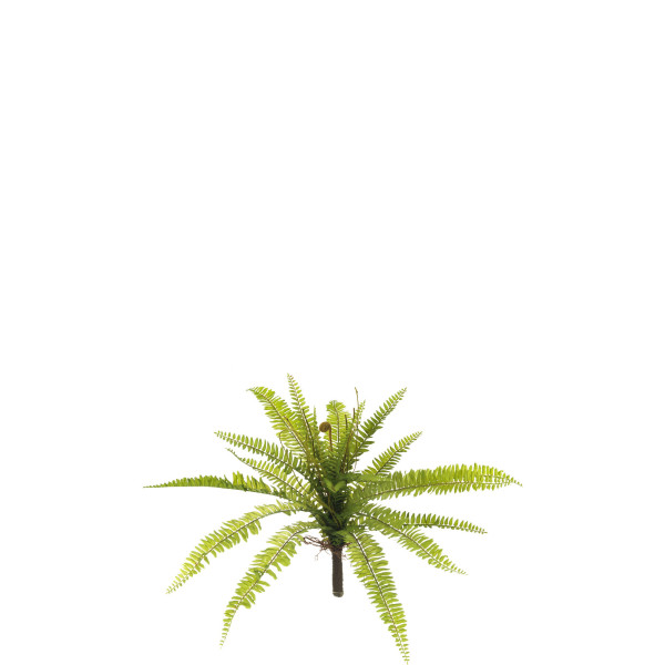 475097 MATA HELECHO GRANDE PLAST. 53CM