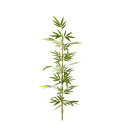 comprar 474677 FB CAÑA BAMBU NATURAL C/H 3,75R 180CM(30 online de desde 63,75 € comprar 474677 FB CAÑA BAMBU NATURAL C/H 3,75R 180CM(30 online de desde 63,75 €