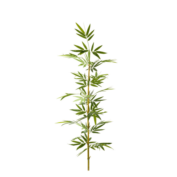 474677 FB CAÑA BAMBU NATURAL C/H 3,75R 180CM(30