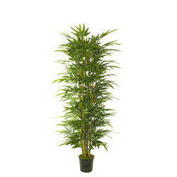 comprar 474718 FB ARBOL BAMBU 210CM C/MAC (300442) online de desde 295,24 € comprar 474718 FB ARBOL BAMBU 210CM C/MAC (300442) online de desde 295,24 €
