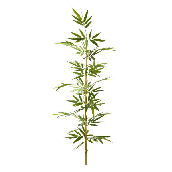 474685 FB CAÑA BAMBU NATURAL C/H 4,75R 210CM(30