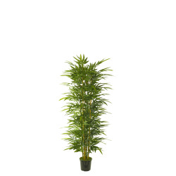 476699 FB ARBOL BAMBU 120CM C/MAC (300442)