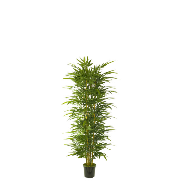476699 FB ARBOL BAMBU 120CM C/MAC (300442)