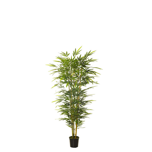 479669 FB ARBOL BAMBU CONICO 120CM C/M (300442)