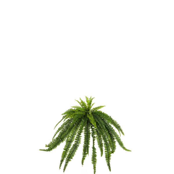 473968 HELECHO GIGANTE X52 120CM