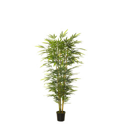 comprar 479677 FB ARBOL BAMBU CONICO 150CM C/M (300442) online de desde 168,43 € comprar 479677 FB ARBOL BAMBU CONICO 150CM C/M (300442) online de desde 168,43 €