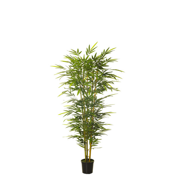 479677 FB ARBOL BAMBU CONICO 150CM C/M (300442)