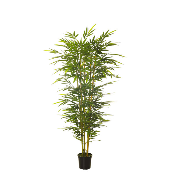 479685 FB ARBOL BAMBU CONICO 180CM C/M (300442)