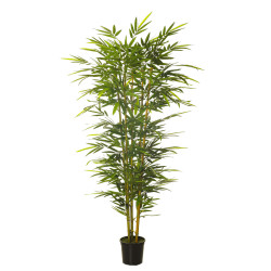 comprar 479693 FB ARBOL BAMBU CONICO 210CM C/M (300442) online de desde 246,84 € comprar 479693 FB ARBOL BAMBU CONICO 210CM C/M (300442) online de desde 246,84 €