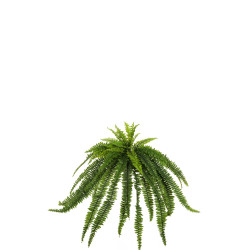 comprar 473950 HELECHO GIGANTE X59 150CM online de  desde 184,37 €