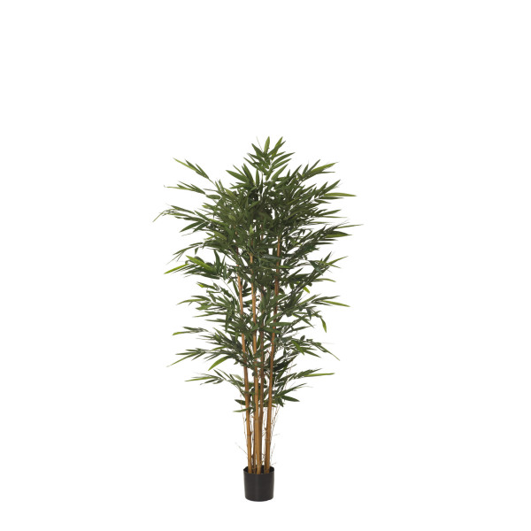 479750 ARBOL BAMBU IM 150CM