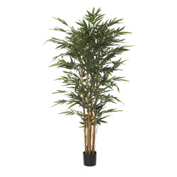 comprar 479776 ARBOL BAMBU IM x8 235cm diá:145 cm online de desde 406,56 € comprar 479776 ARBOL BAMBU IM x8 235cm diá:145 cm online de desde 406,56 €