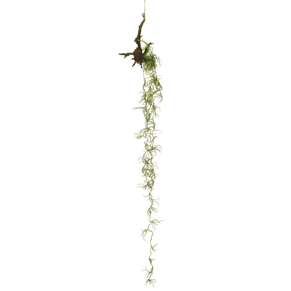 476110 RAIZ COLGANTE TILLANSIA PLASTIC