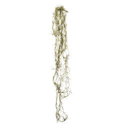 comprar COLGANTE MINI TILLANDSIA 78CM online de desde 10,51 € comprar COLGANTE MINI TILLANDSIA 78CM online de desde 10,51 €