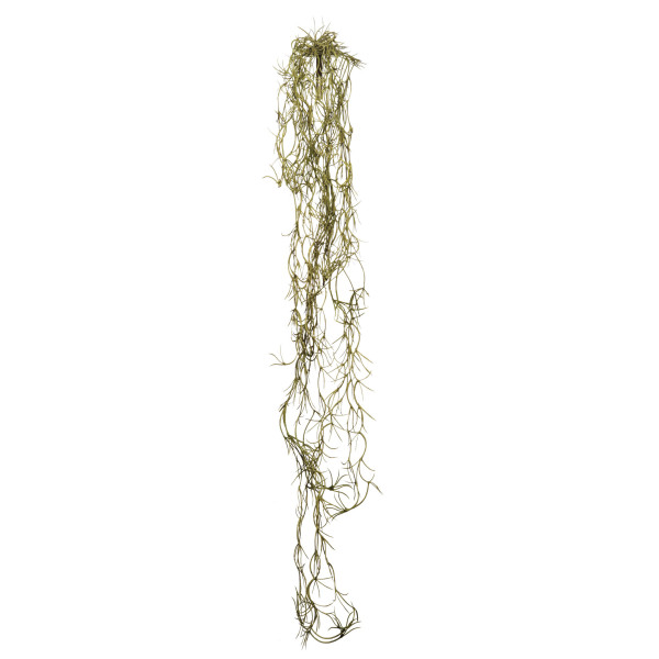 COLGANTE MINI TILLANDSIA 78CM