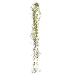 comprar COLGANTE MINI TILLANDSIA 78CM online de desde 10,51 € comprar COLGANTE MINI TILLANDSIA 78CM online de desde 10,51 €
