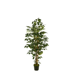 comprar 473992 FB ARBOL FICUS 150CM C/MAC(306630) online de desde 121,97 € comprar 473992 FB ARBOL FICUS 150CM C/MAC(306630) online de desde 121,97 €