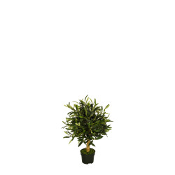 comprar 478512 FB BOLA OLIVO 5R (SF) 47CM DIA:30 C/M UV online de desde 82,28 € comprar 478512 FB BOLA OLIVO 5R (SF) 47CM DIA:30 C/M UV online de desde 82,28 €