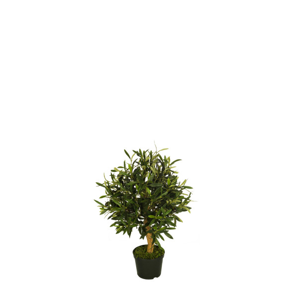 478520 FB BOLA OLIVO 8R (SF) 60CM DIA:40 C/M UV
