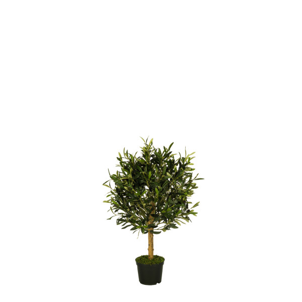 478538 FB BOLA OLIVO 15R (SF) 67CM DIA:50CM C/M