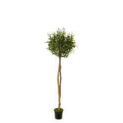 comprar 478546 FB ARBOL OLIVO 15R (SF) 150CM DIA:50CM C online de desde 237,16 € comprar 478546 FB ARBOL OLIVO 15R (SF) 150CM DIA:50CM C online de desde 237,16 €