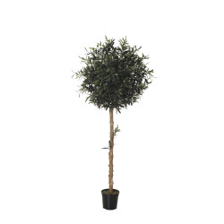 comprar 479255 FB ARBOL OLIVO 27R (SF) 150CM DIA:60CM C online de  desde 361,79 €