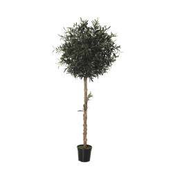 comprar 479263 FB ARBOL OLIVO 27R (SF) 180CM DIA:60CM C online de desde 387,20 € comprar 479263 FB ARBOL OLIVO 27R (SF) 180CM DIA:60CM C online de desde 387,20 €