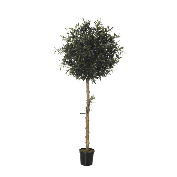 479263 FB ARBOL OLIVO 27R (SF) 180CM DIA:60CM C