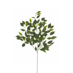 comprar 306747 RAMA FICUS HAWAI X3/106H 70 cm online de desde 11,74 € comprar 306747 RAMA FICUS HAWAI X3/106H 70 cm online de desde 11,74 €