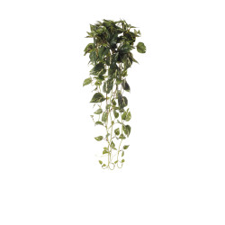 comprar 477051 COLGANTE POTHOS 100CM online de  desde 43,56 €