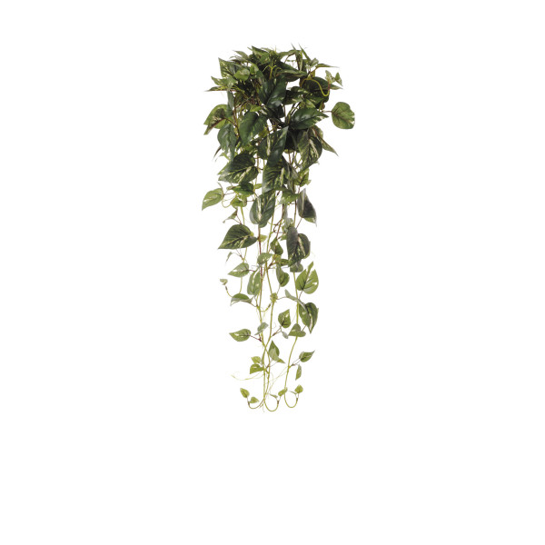 477051 COLGANTE POTHOS 100CM
