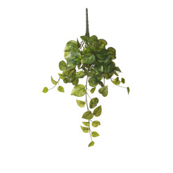 comprar 479958 COLGANTE POTHOS X78 46CM online de desde 9,56 € comprar 479958 COLGANTE POTHOS X78 46CM online de desde 9,56 €