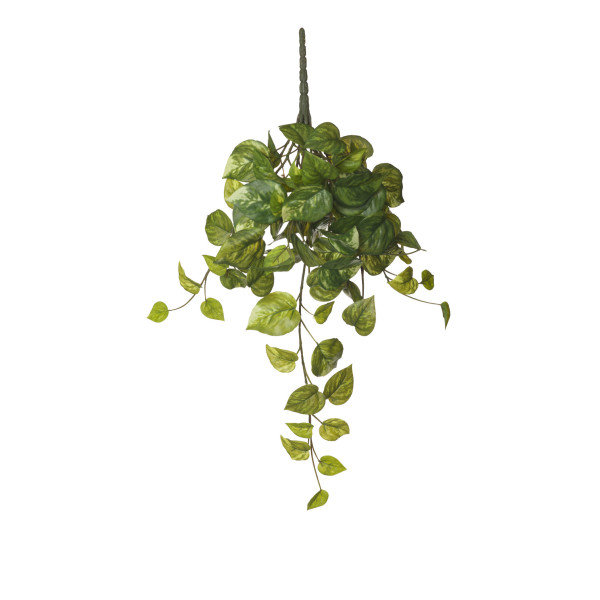 479958 COLGANTE POTHOS X78 46CM