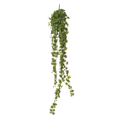 comprar 479924 COLGANTE POTHOS X423 180CM online de  desde 50,14 €
