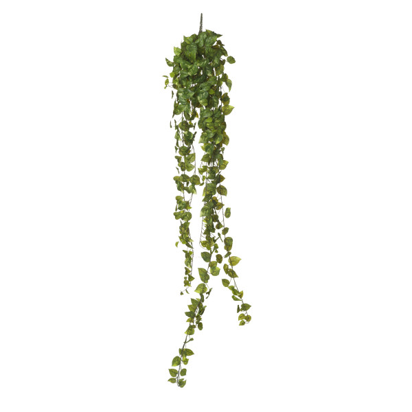 479924 COLGANTE POTHOS X423 180CM