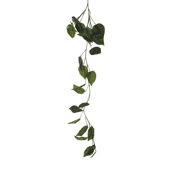 477704 GUIRNALDA PHILO X3/25H 115CM