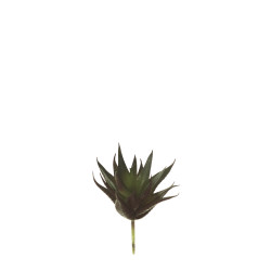 comprar 853483 PICK CRASA ALOE Pequeña. online de  desde 7,54 €
