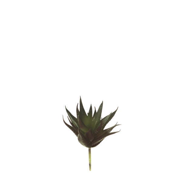 853483 PICK CRASA ALOE Pequeña.