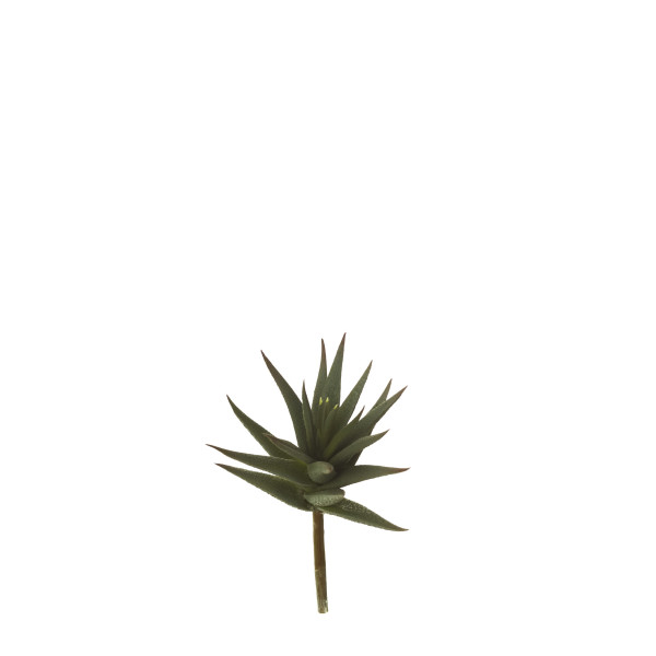 853491 PICK CRASA ALOE MED.