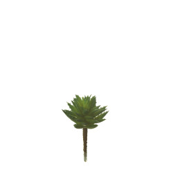 comprar 852922 PICK AGAVE MAGUEY online de  desde 0,00 €
