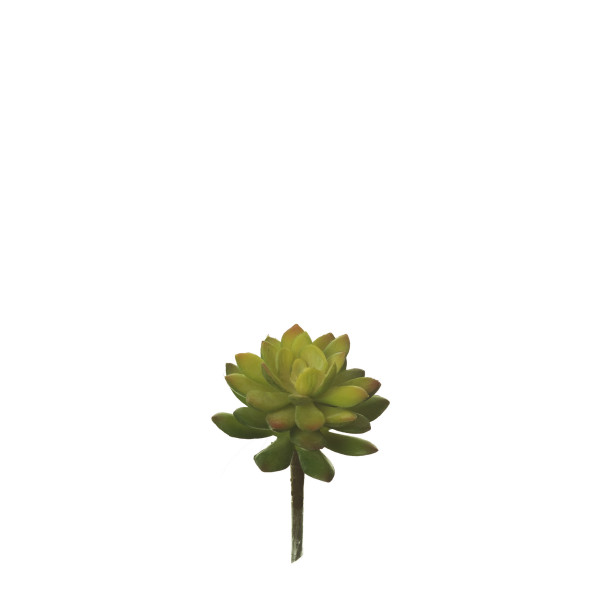 852948 PICK OVIFERUM