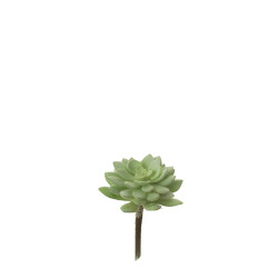 comprar 852956 PICK SEDUM online de desde 6,41 € comprar 852956 PICK SEDUM online de desde 6,41 €