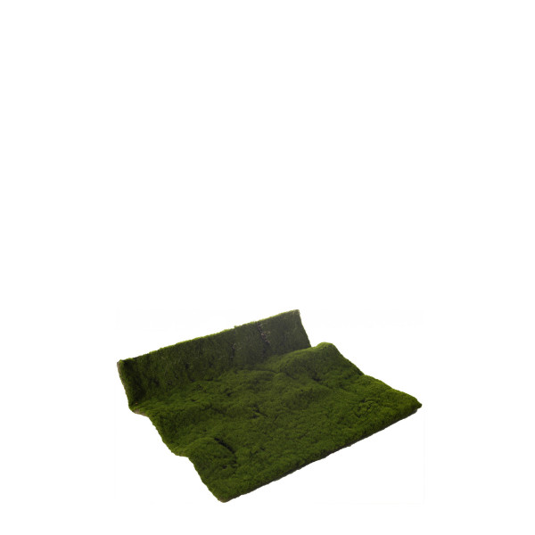 ALFOMBRA MOSS 50 X 50cm