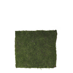 comprar 478819 MATT TWIG MOSS 100X90CM online de  desde 133,10 €