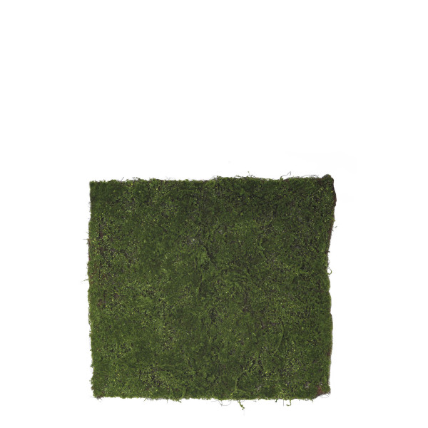 478819 MATT TWIG MOSS 100X90CM